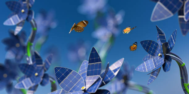 Best Solar Companies for Affordable Green Energy